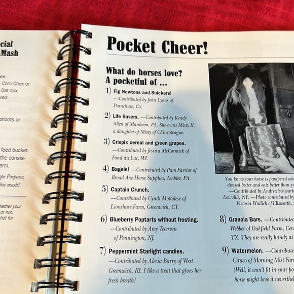 The ultimate guide to pampering your horse vintage book - Picture 6 of 8